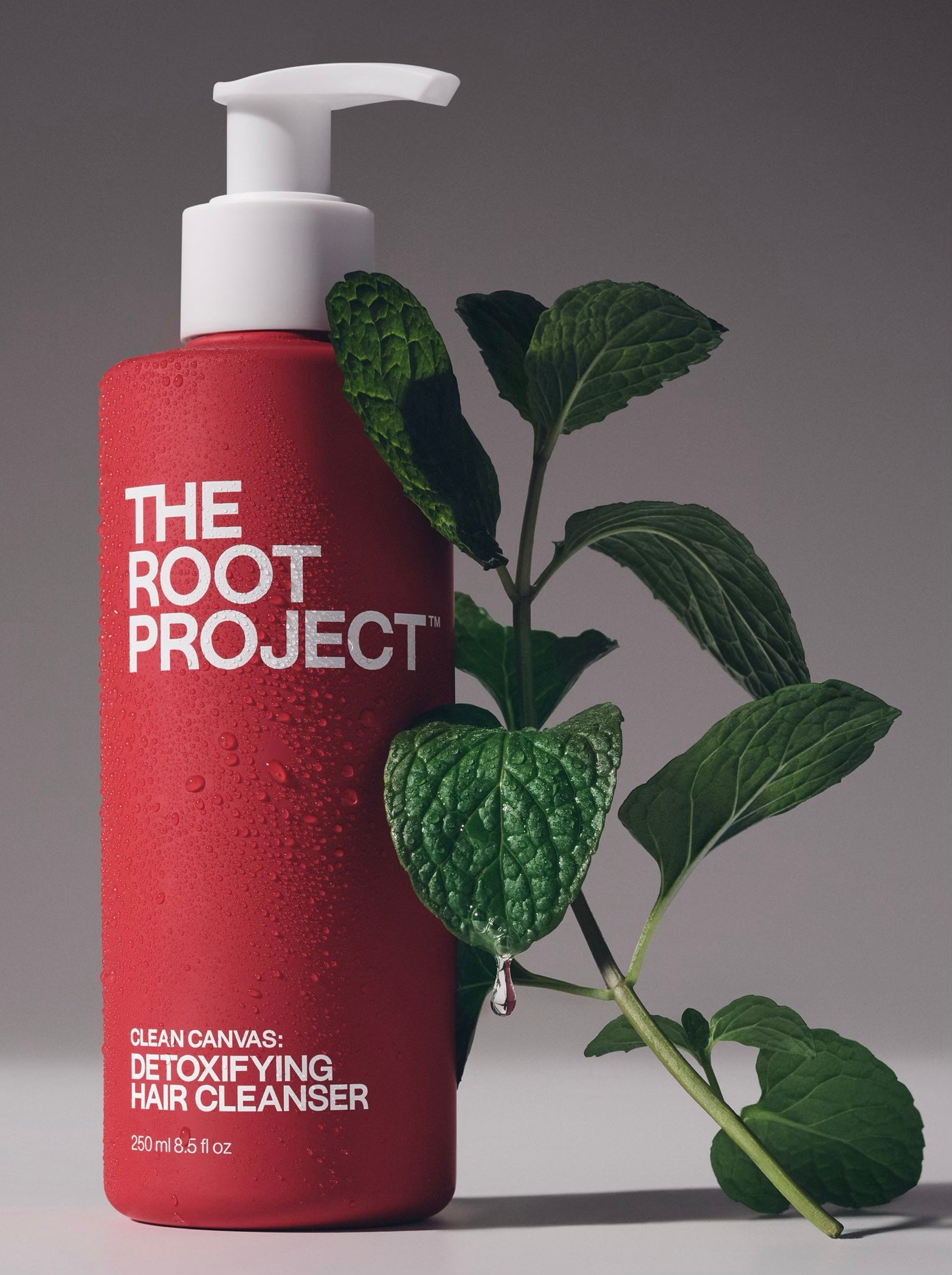 Clean Canvas Detoxifying Hair Cleanser | The Root Project