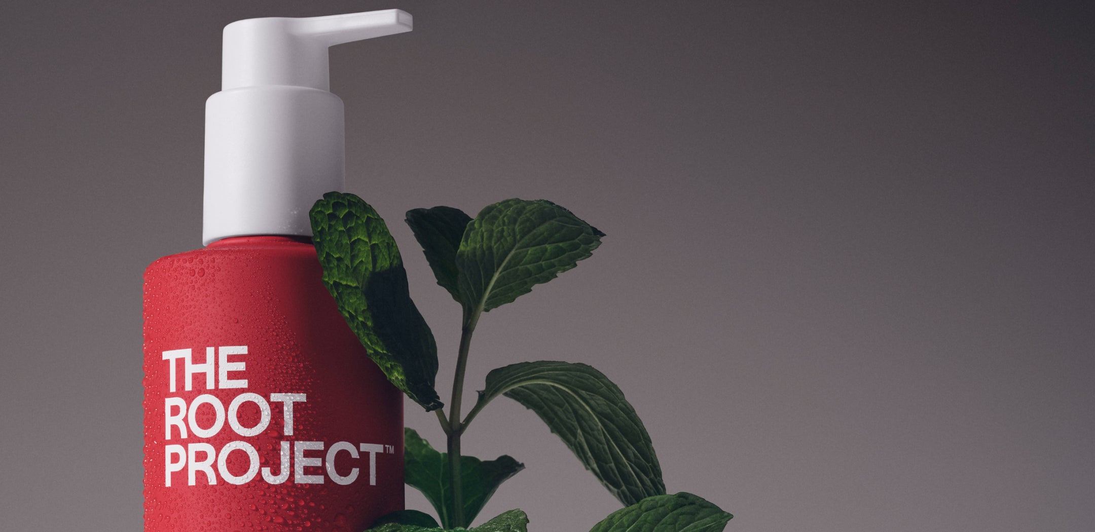 Our Philosophy | The Root Project